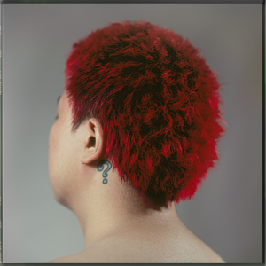 日本熟妇黑森林毛茸茸
