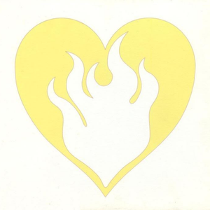 日本熟妇黑森林毛茸茸
