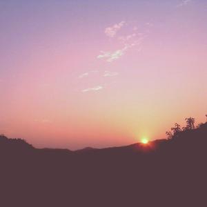 日本熟妇黑森林毛茸茸
